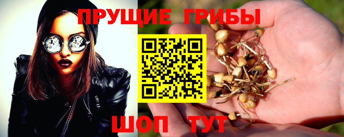 Псилоцибиновые грибы прущие грибы  Вход с VPN  Самара 